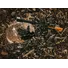 Сокира-колун Fiskars XL Х27 Фото 2